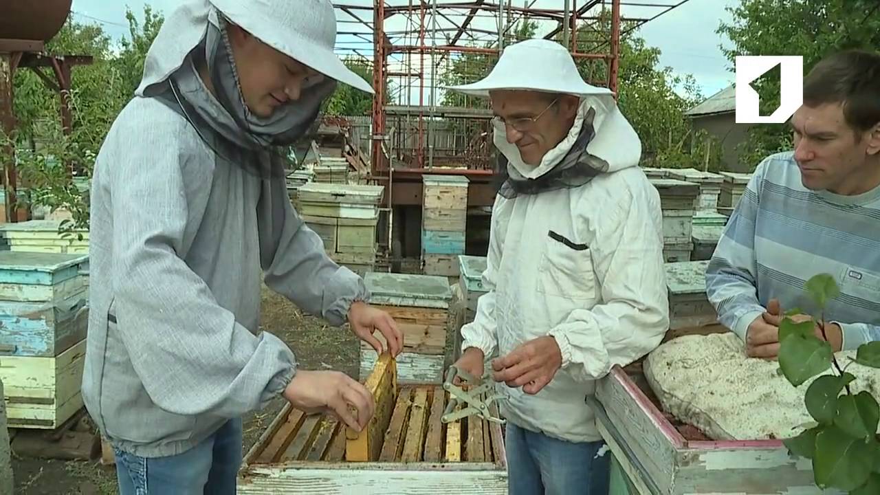 Утренний эфир / село Незавертайловка