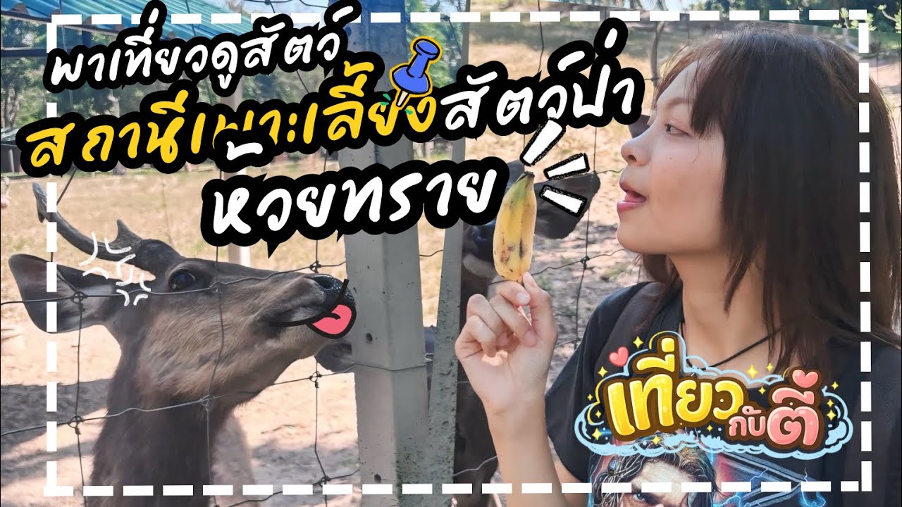 1 วันกับสัตว์ป่า จุดรวมสัตว์ใกล้สูญพันธุ์ในจังหวัดเพชรบุรี | เที่ยวกับตี้ ep1