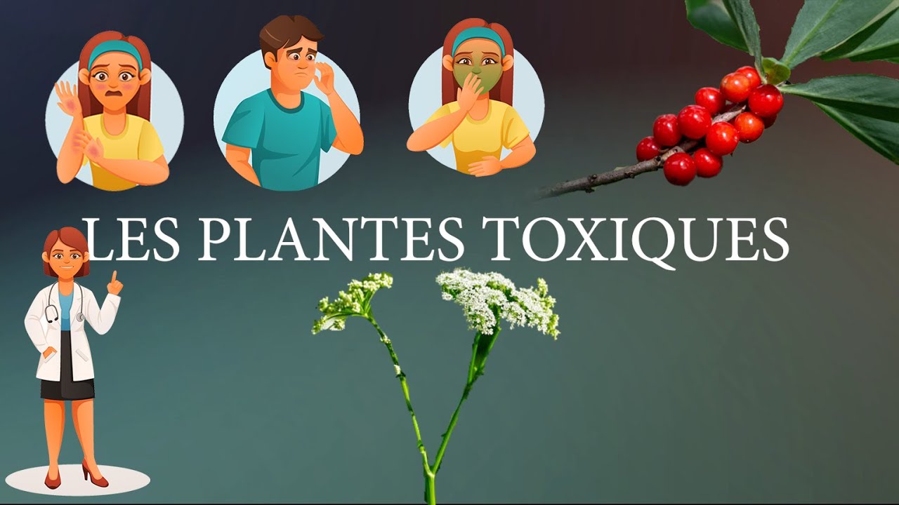 Les plantes toxiques
