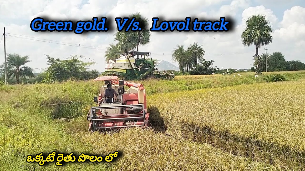 Lovol track harvester v/s green gold||ఒక్కటే రైతు పొలం లో ##sriramaharvesters 