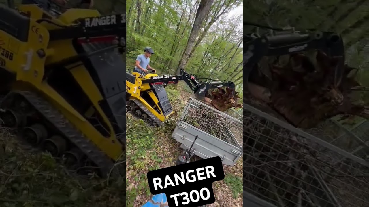 Mini chargeur RANGER T300 mini skid RANGER