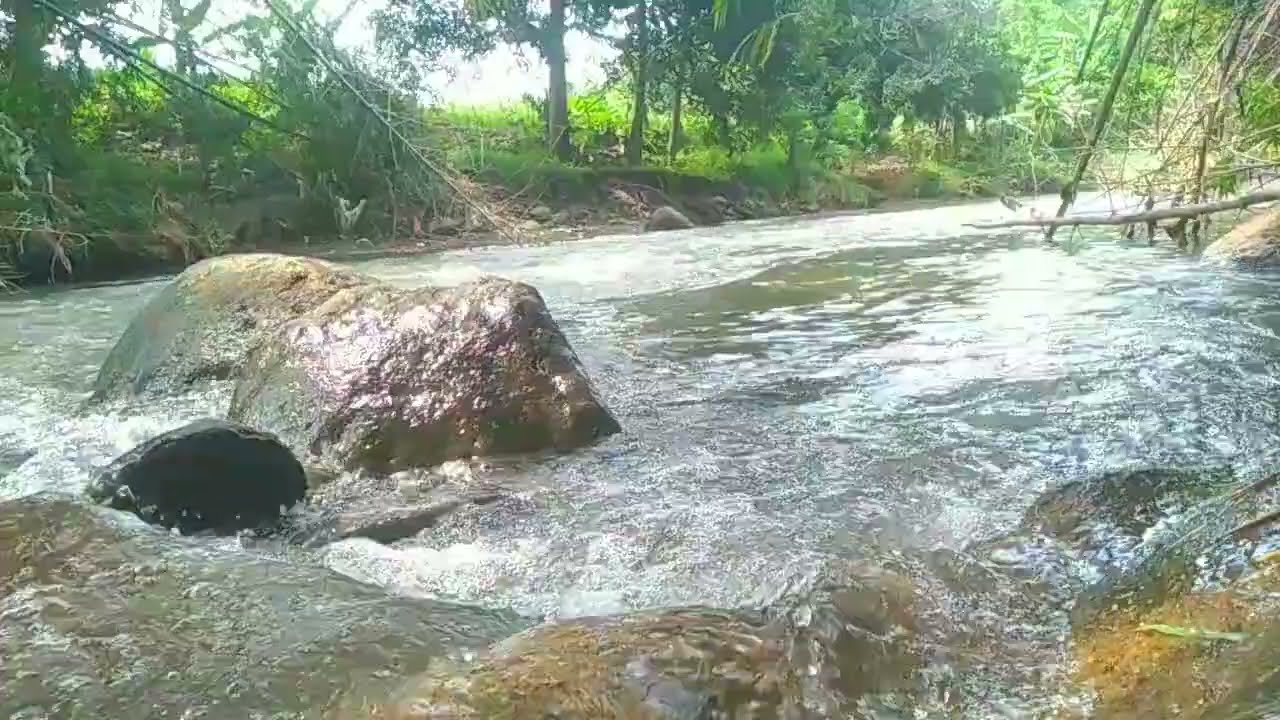THE SOUND OF WATER IN NATURE FOR SLEEP BETTER