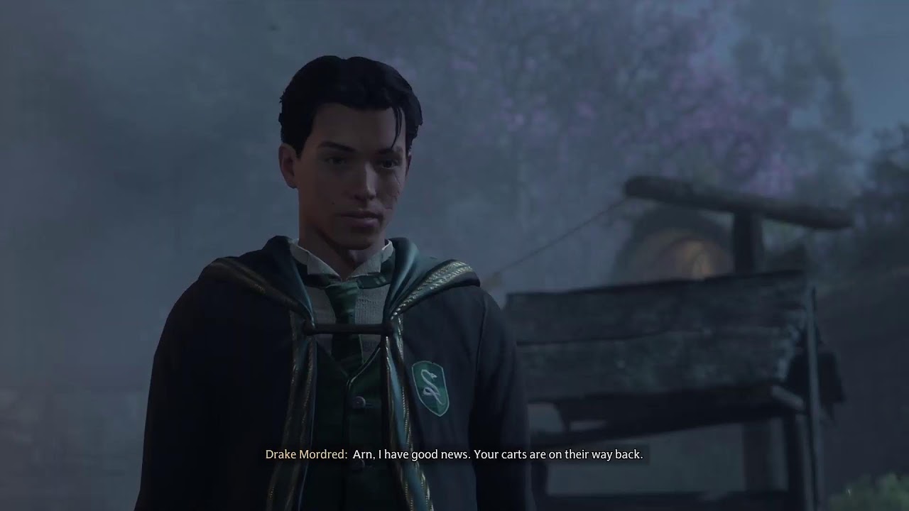Hogwarts Legacy - My 3rd Character out of 4 Characters (Day 2) - Slytherin