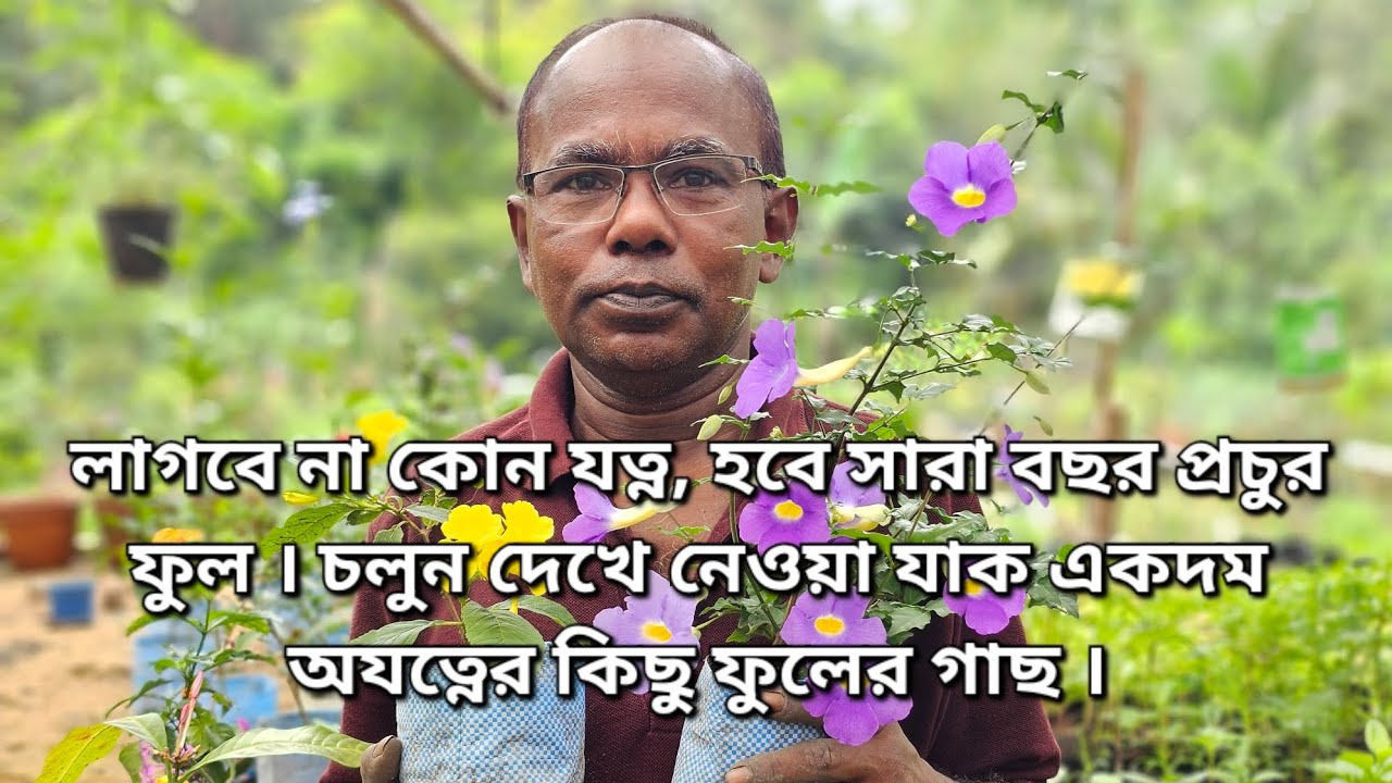 লাগবে না কোন যত্ন, হবে সারা বছর প্রচুর ফুল । চলুন দেখে নেওয়া যাক একদম অযত্নের কিছু ফুলের গাছ ।