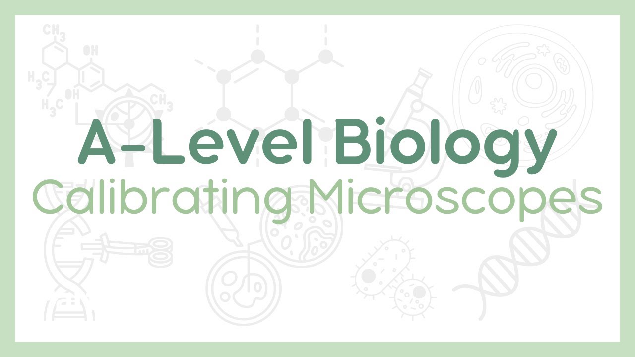 CALIBRATING MICROSCOPES : Eyepiece and stage graticules | A-Level Biology (AQA, OCR, Edexcel)