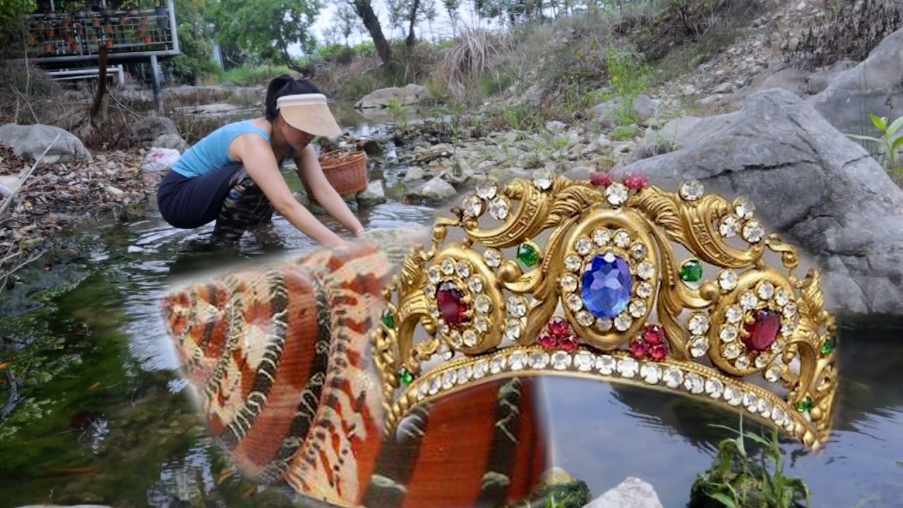 Hidden River Gem Revealed: Girl's Discovery of Golden Pearl in Mutant Clams
