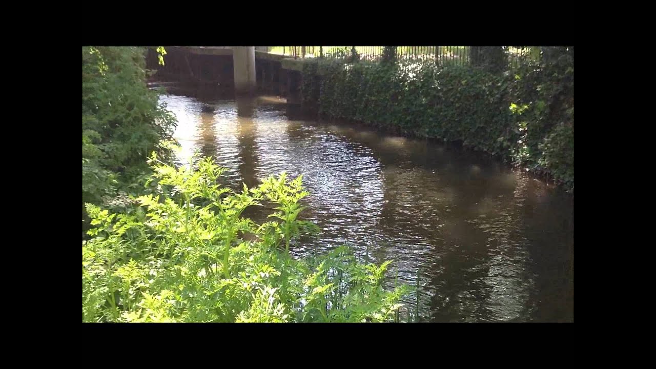 Holybrook and Kennet