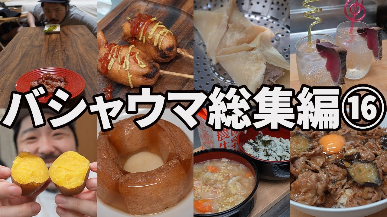 バシャウマ自炊日記総集編⑯