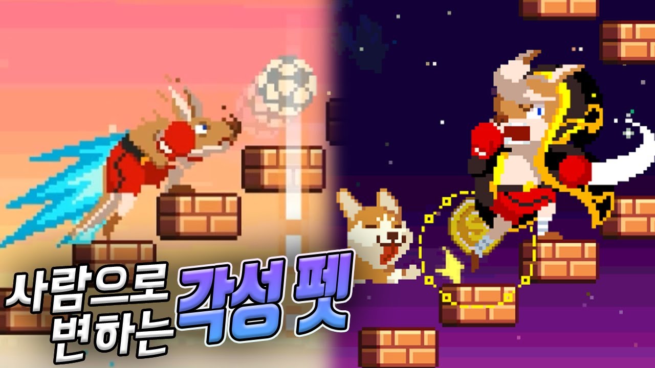 펫이 캐릭터로 바뀐다고...?! :: 무한의계단 각성펫