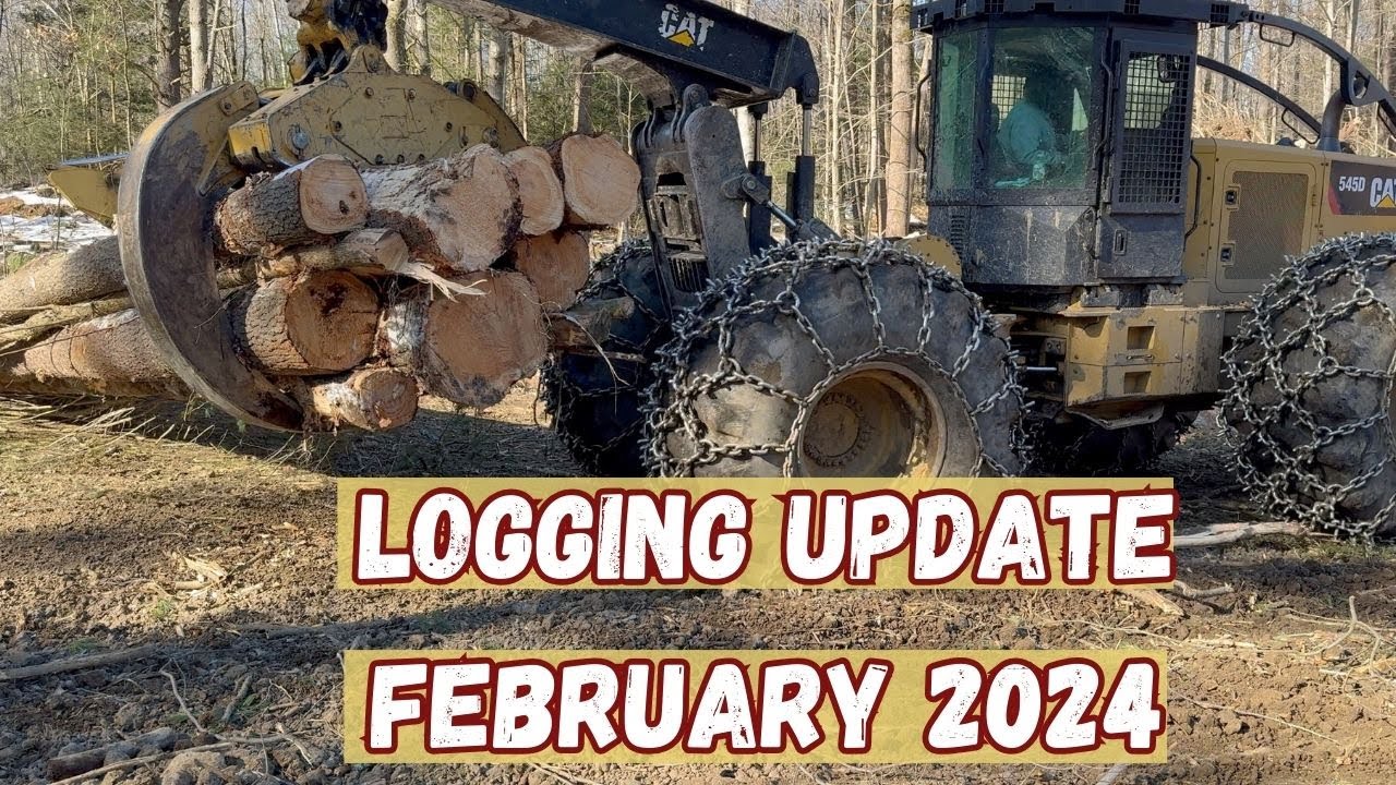 Exploring Sustainable Forestry: Selective Logging In Vermont | Epic Field Trip!