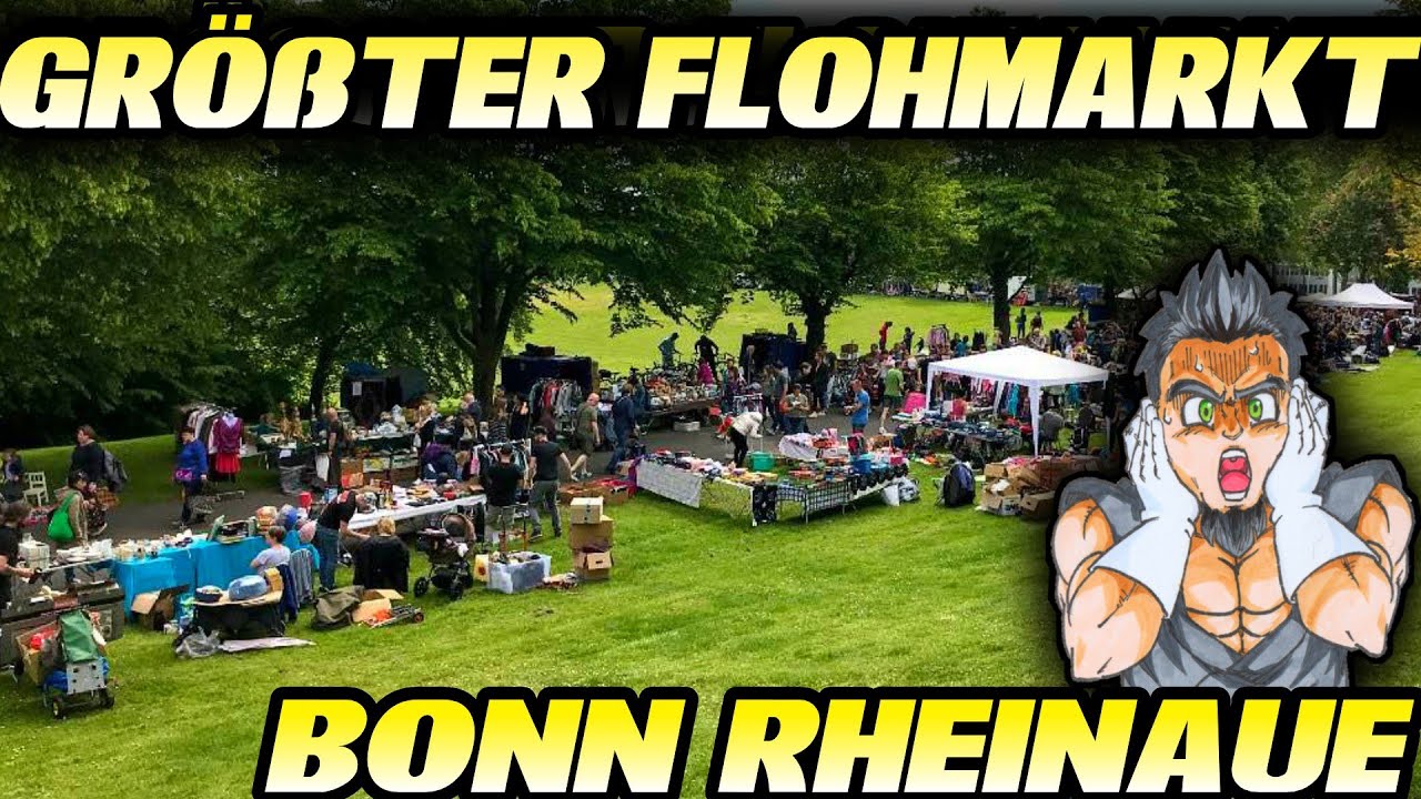 GRÖßTER FLOHMARKT Deutschlands 😮 Bonn Rheinaue - Reselling Vlog Ausbeute Eindruck | Black Rabbit
