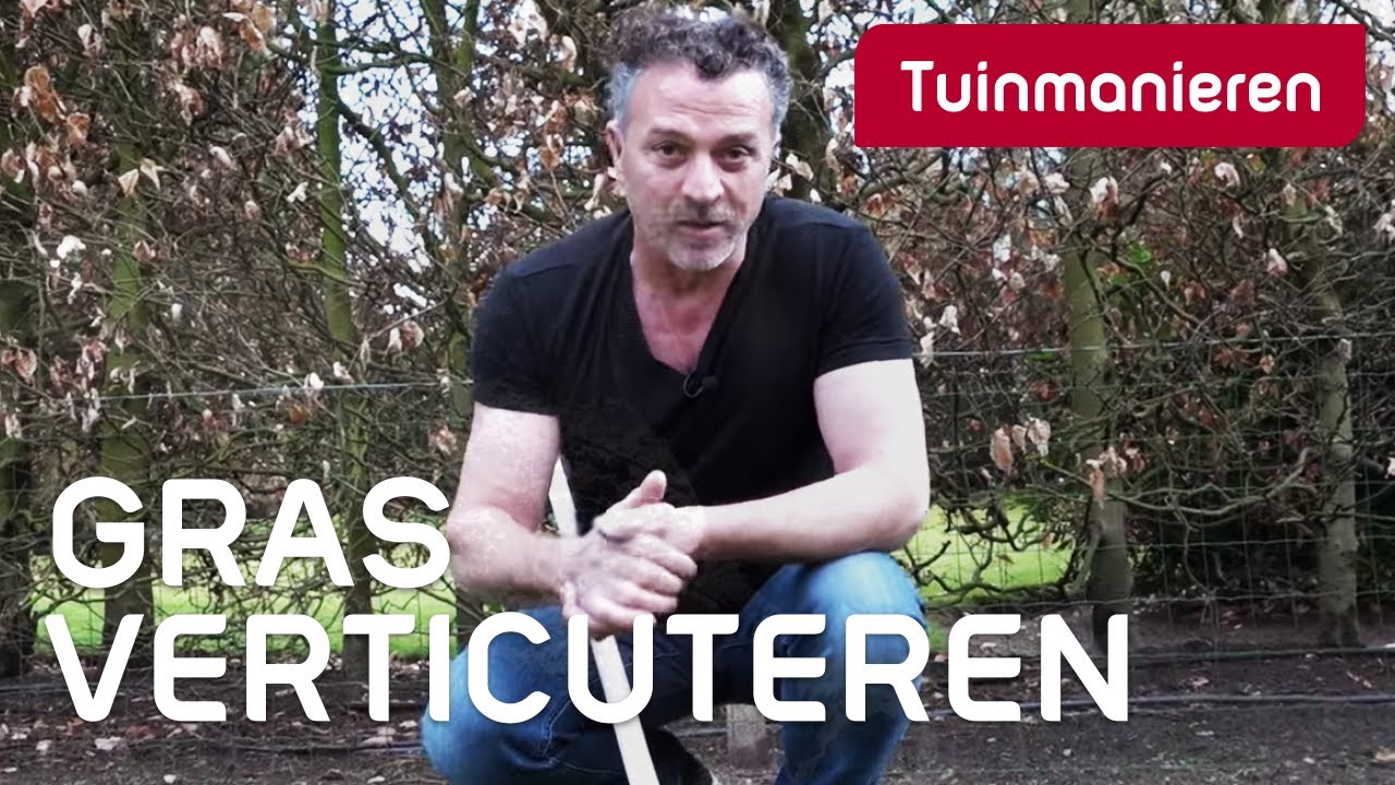Hoe moet je gras verticuteren? | Hoe onderhoud je het gazon #3 | Tuinmanieren