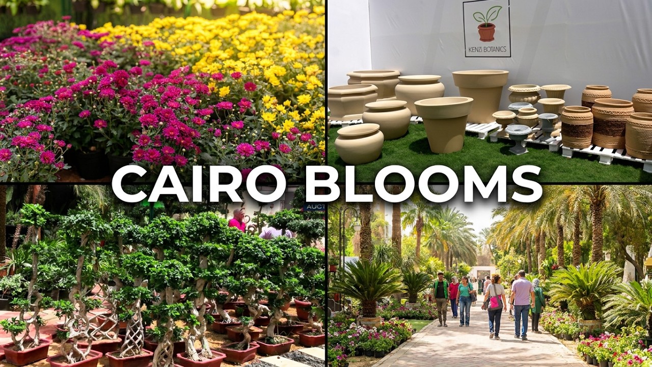 The Annual Spring Flowers Exhibition - معرض الربيع للزهور