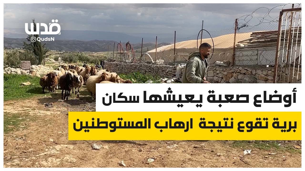 أوضاع صعبة يعيشها الفلسطينيون في برية تقوع قرب بيت لحم؛ جراء المستوطنين.