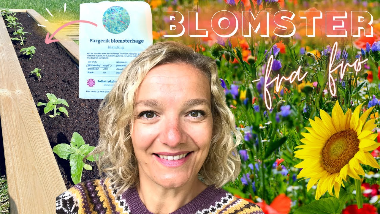 HVORDAN SÅ BLOMSTERFRØ OG PLANTE I BLOMSTERKASSE 🌼 Lag blomsterbed i blomsterkasse!