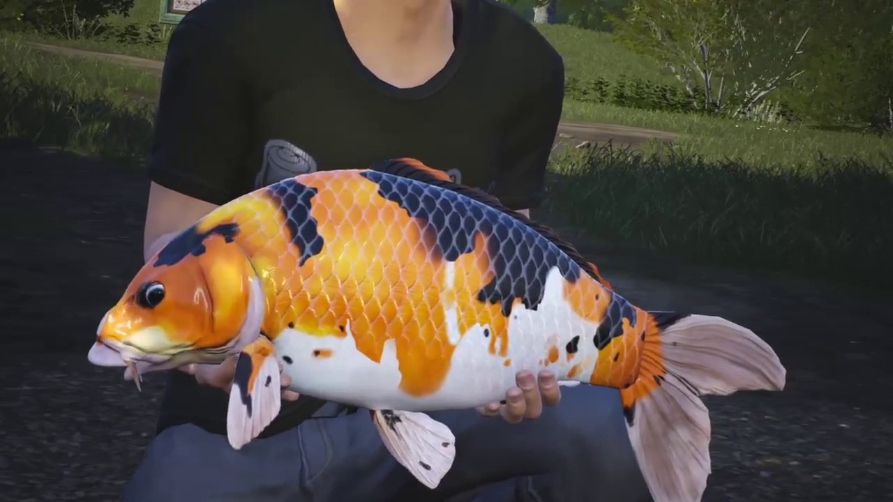 Euro Fishing - New DLC Le Lac d'or . featuring 3 boss fish