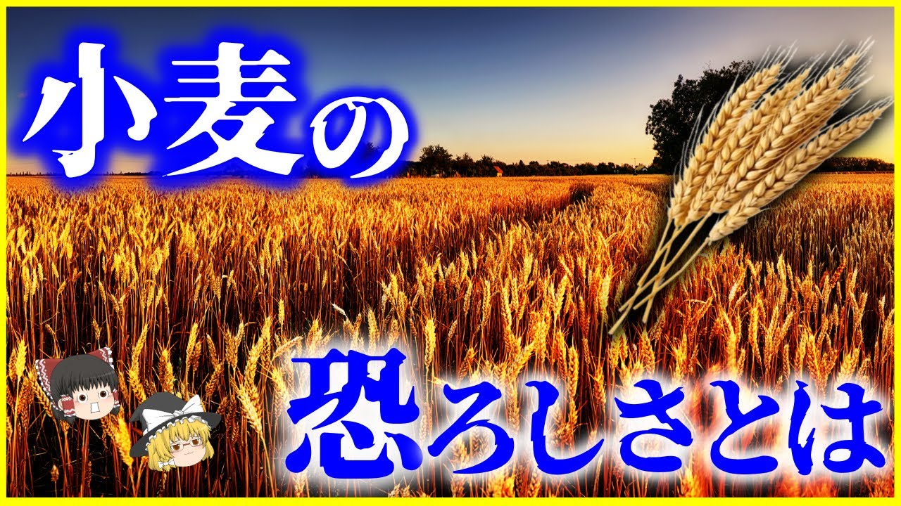 【ゆっくり解説】日本を支配する⁉「小麦」とは何者なのか？を解説/人間は小麦なしでは生きていけない生物になったのか？