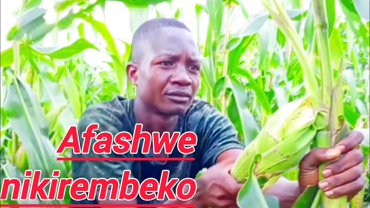 Imisi yigisuma ni 40.😱   Nizi feli afashe igisuma inosent 