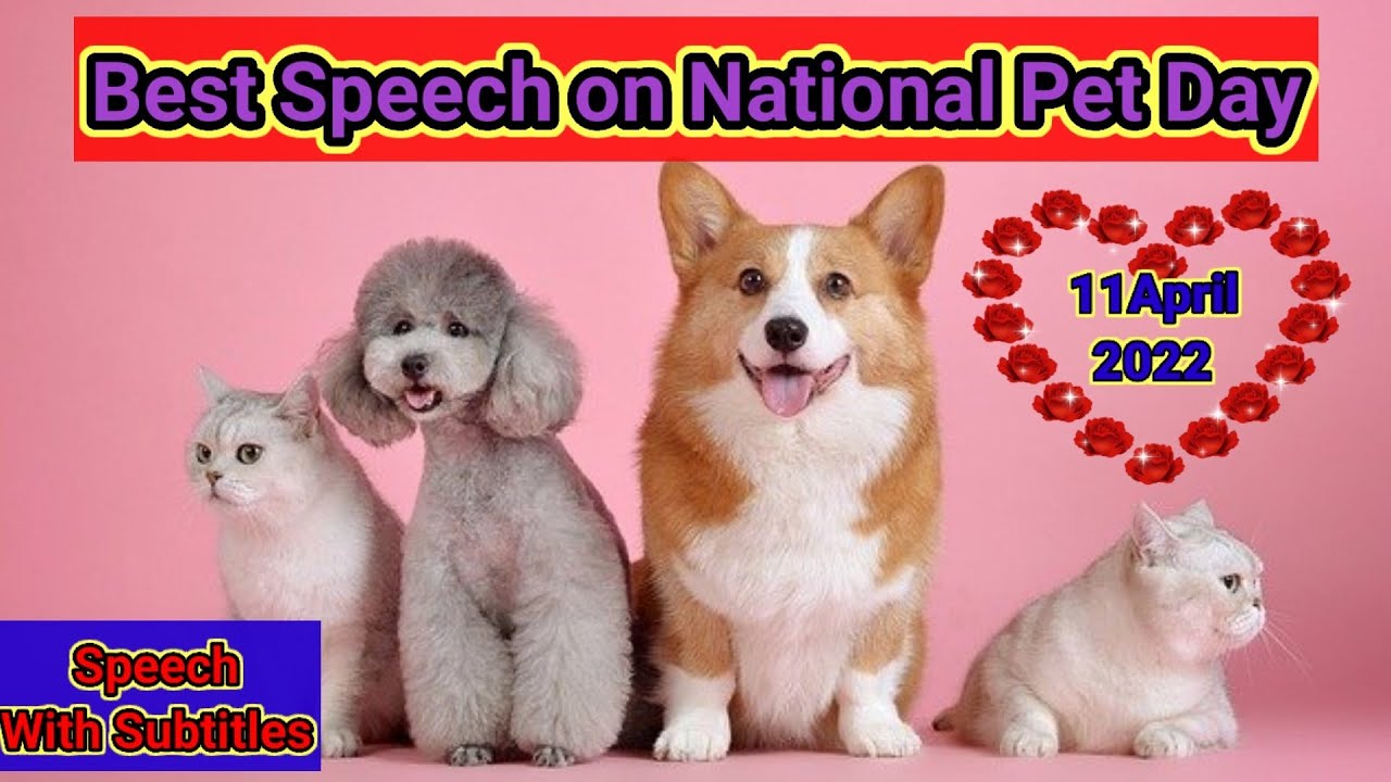 Best Speech on National Pet Day in English 2022 / National Pet Day 2022