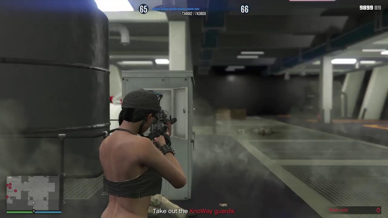RDR2 Online Fried'day [free aim] Barefoot Lulu CEO Life lightweight work 'stream