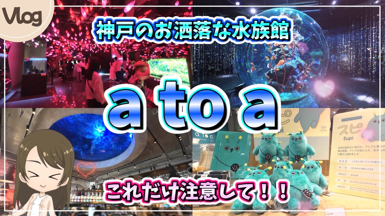 【アトア】神戸のおしゃれな水族館をご紹介！atoa 行く前にこれだけは気を付けてほしい！2025.9.vlog