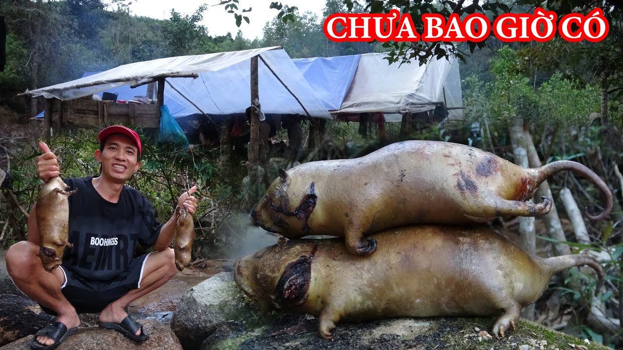 TIỆC TRÊN RỪNG, CHUYẾN ĐI RỪNG CHƯA BAO GIỜ CÓ - RỪNG LỚN - T5 | THỢ NÚI