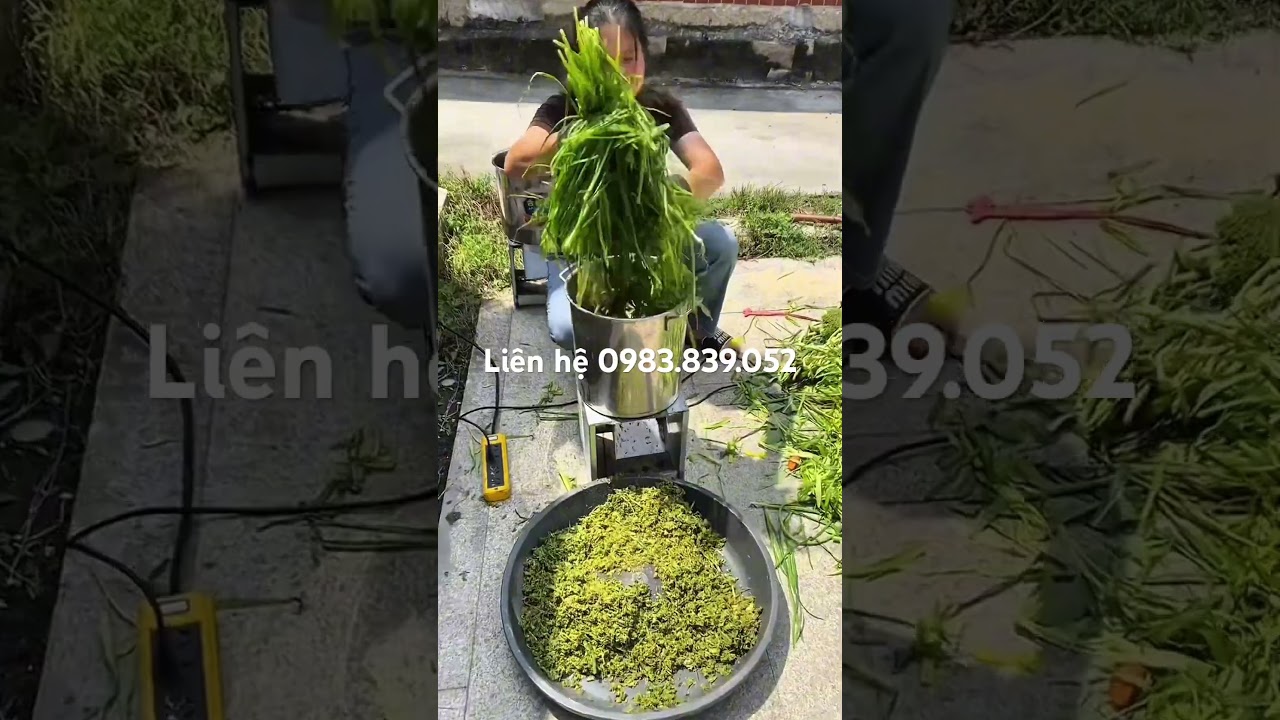 Máy xay thức ăn chăn nuôi 