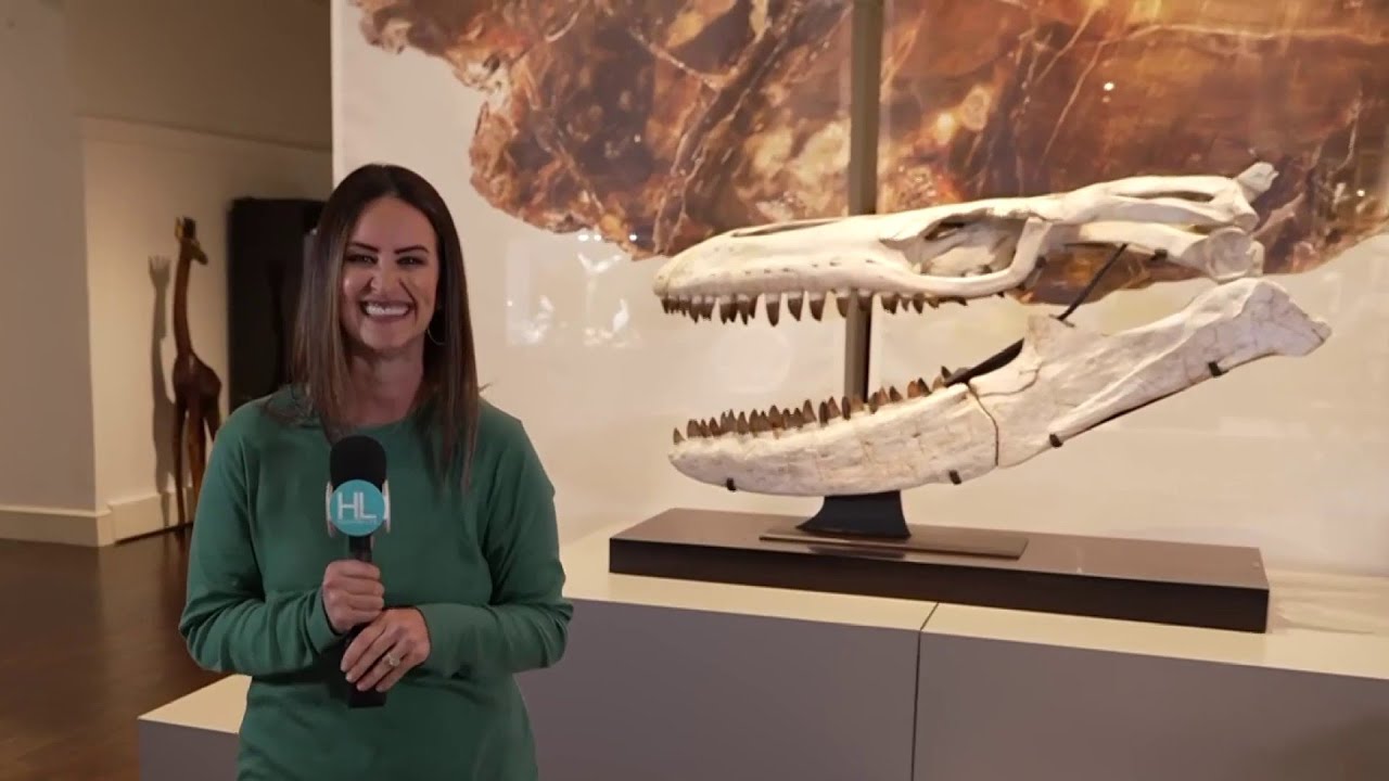Inside the Houston Museum of Natural Science’s new pop-up featuring one-of-a-kind pieces