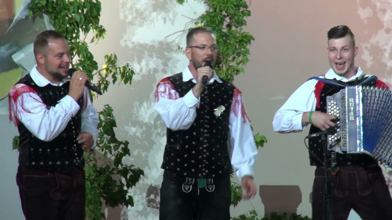 Ansambel Dar - Pa kaj, če se zgodi (v živo)