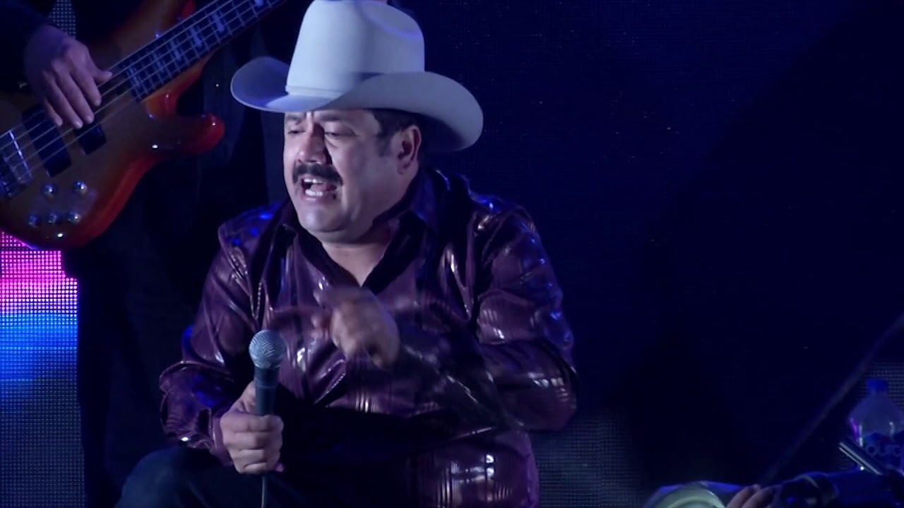 El gato en la oscuridad - Isaias Lucero