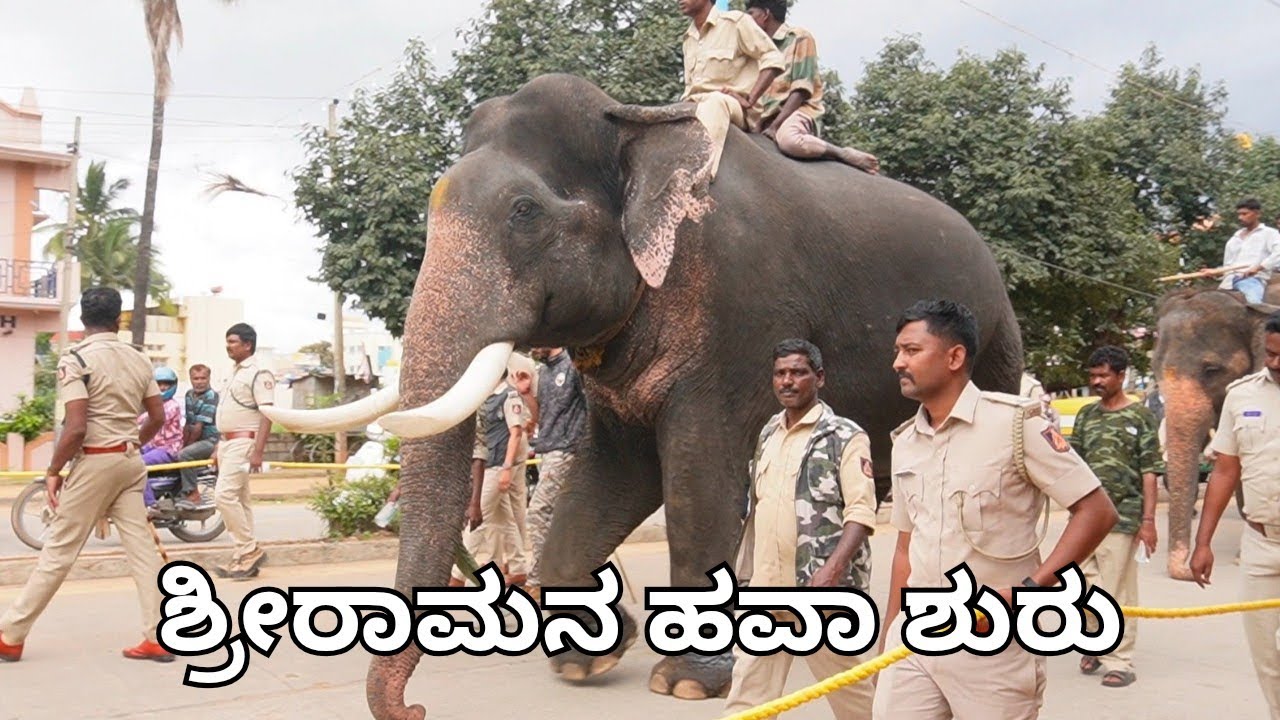 ತುಮಕೂರು ದಸರಾ ಮಾಡಲು ಬಂದ ನಮ್ಮ ಶ್ರೀರಾಮ ಮತ್ತು ಲಕ್ಷ್ಮೀ ಆನೆಗಳು | Tumkuru Dasara Elephants