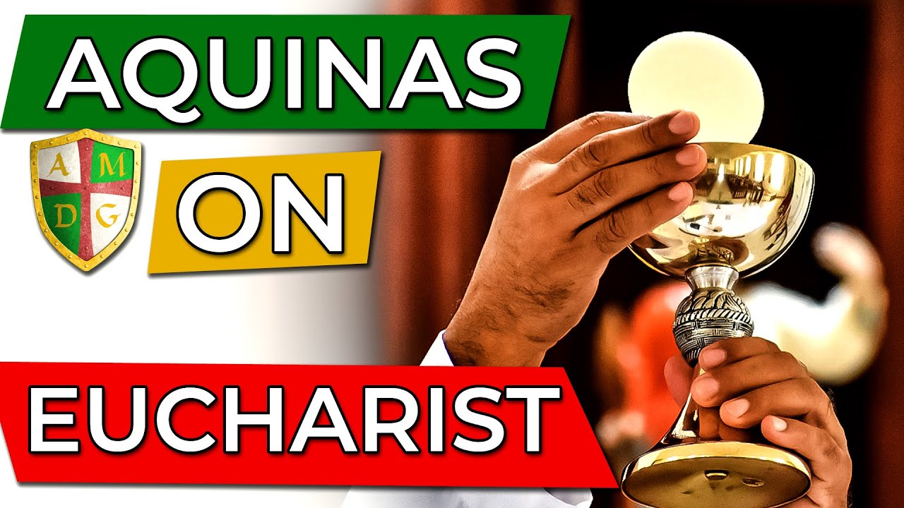 🍞🍷 St. Thomas Aquinas on the Eucharist ⭐ Passionately Catholic with Anthony Digmann