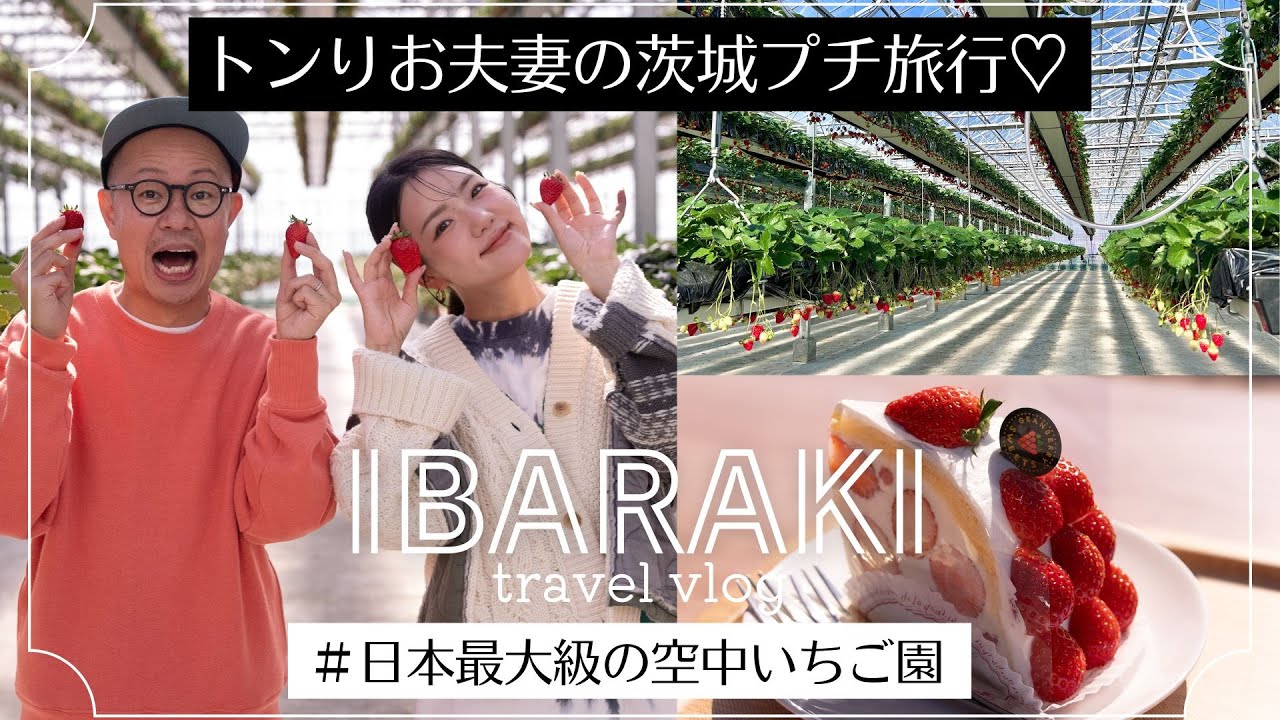 【トンりお夫妻の茨城プチ旅行】空中いちご狩り＆いちごスイーツ満喫体験
