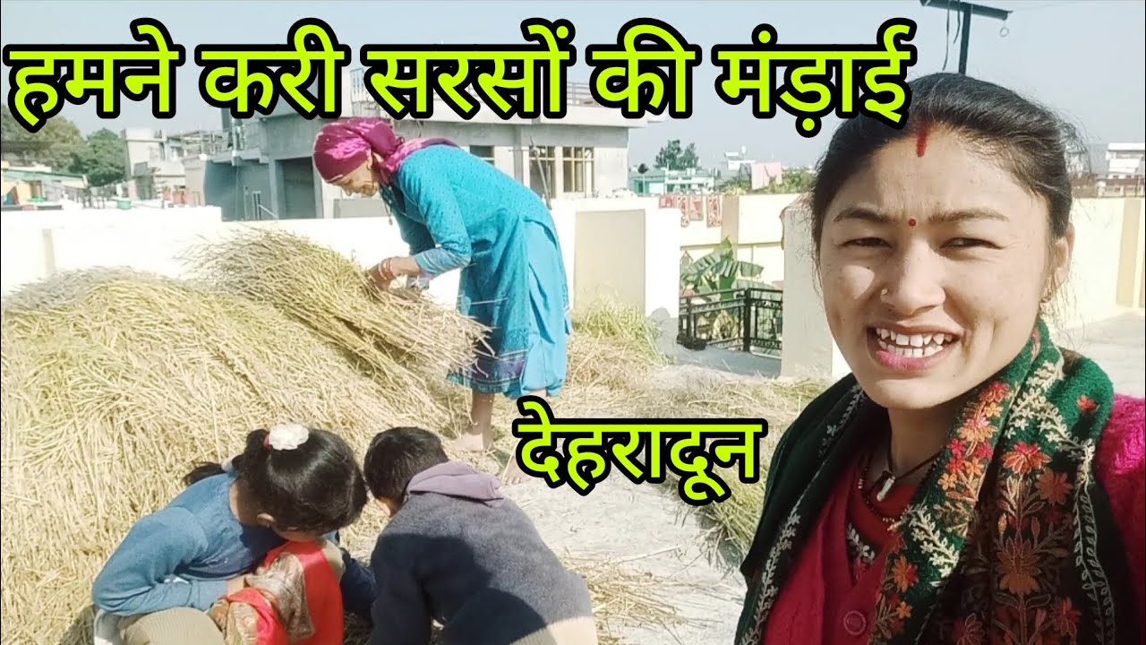 सरसों की मंड़ाई करते हुए गांव, बचपन की याद 💞💞 @KhushiBimoli #uttrakhandi #pahadi