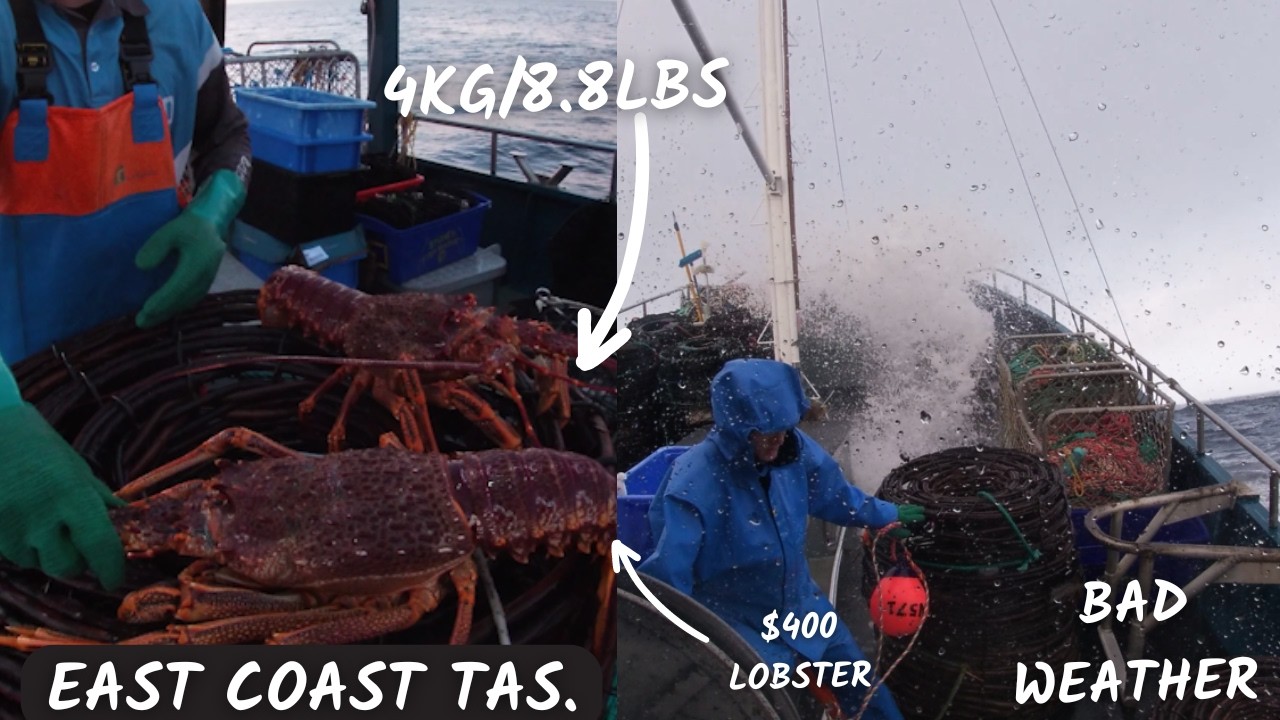 We are back!! 4kg lobsters, BAD weather, BREAK downs and more! Fishing the east coast of Tasmania.