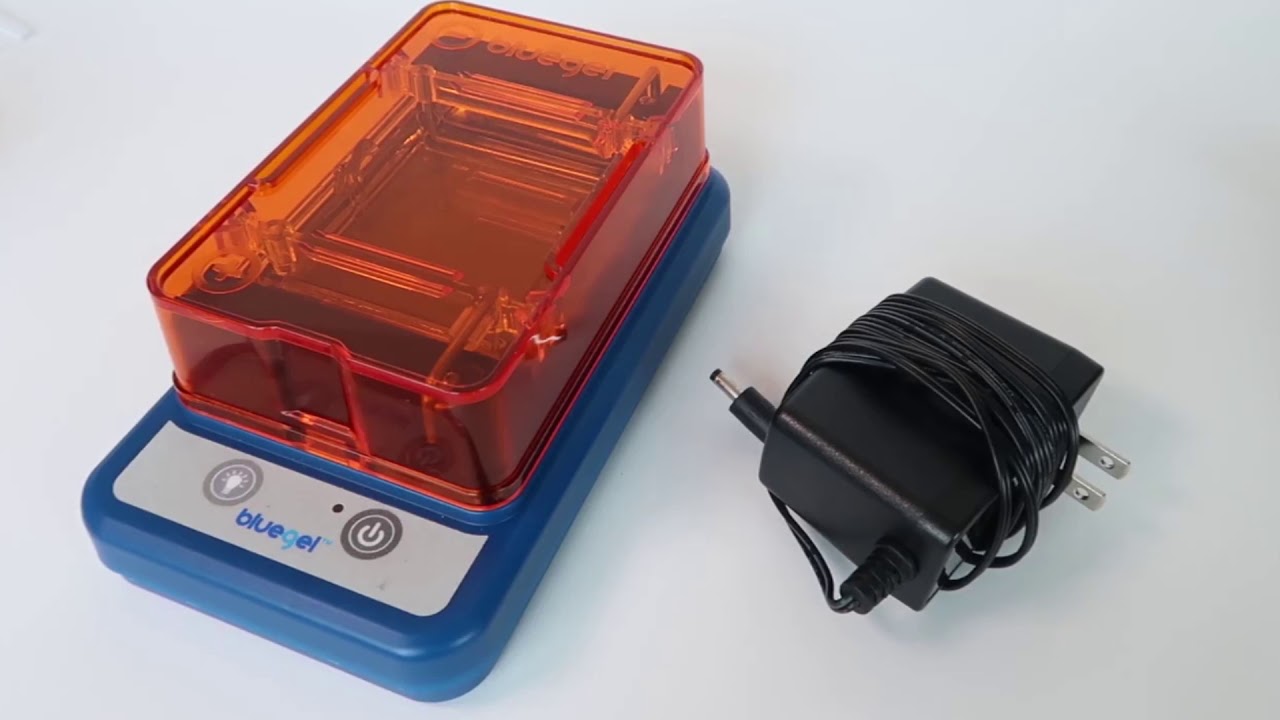 Bluegel Electrophoresis system by MiniPCR