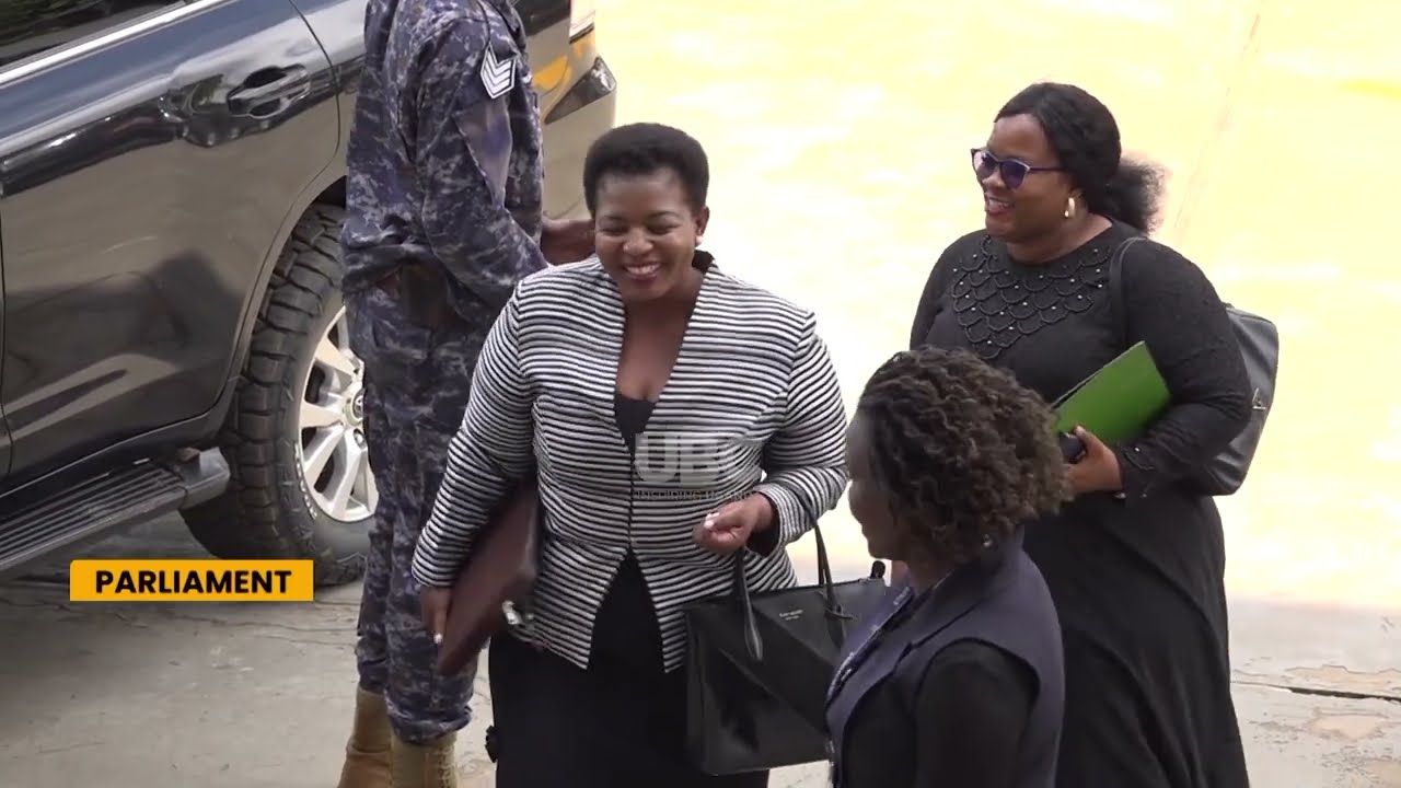 Vetting process starts with individuals appointed with dual citizenship in the spotlight.