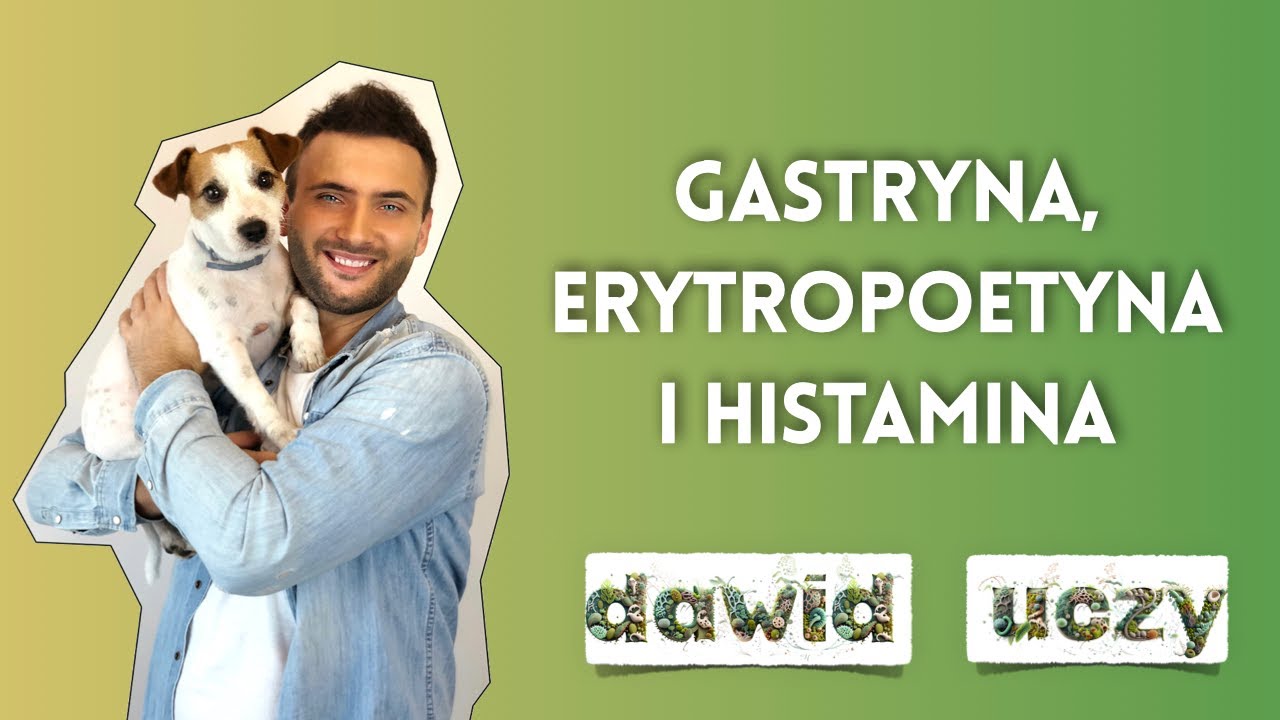 Gastryna, erytropoetyna i histamina - Matura Biologia