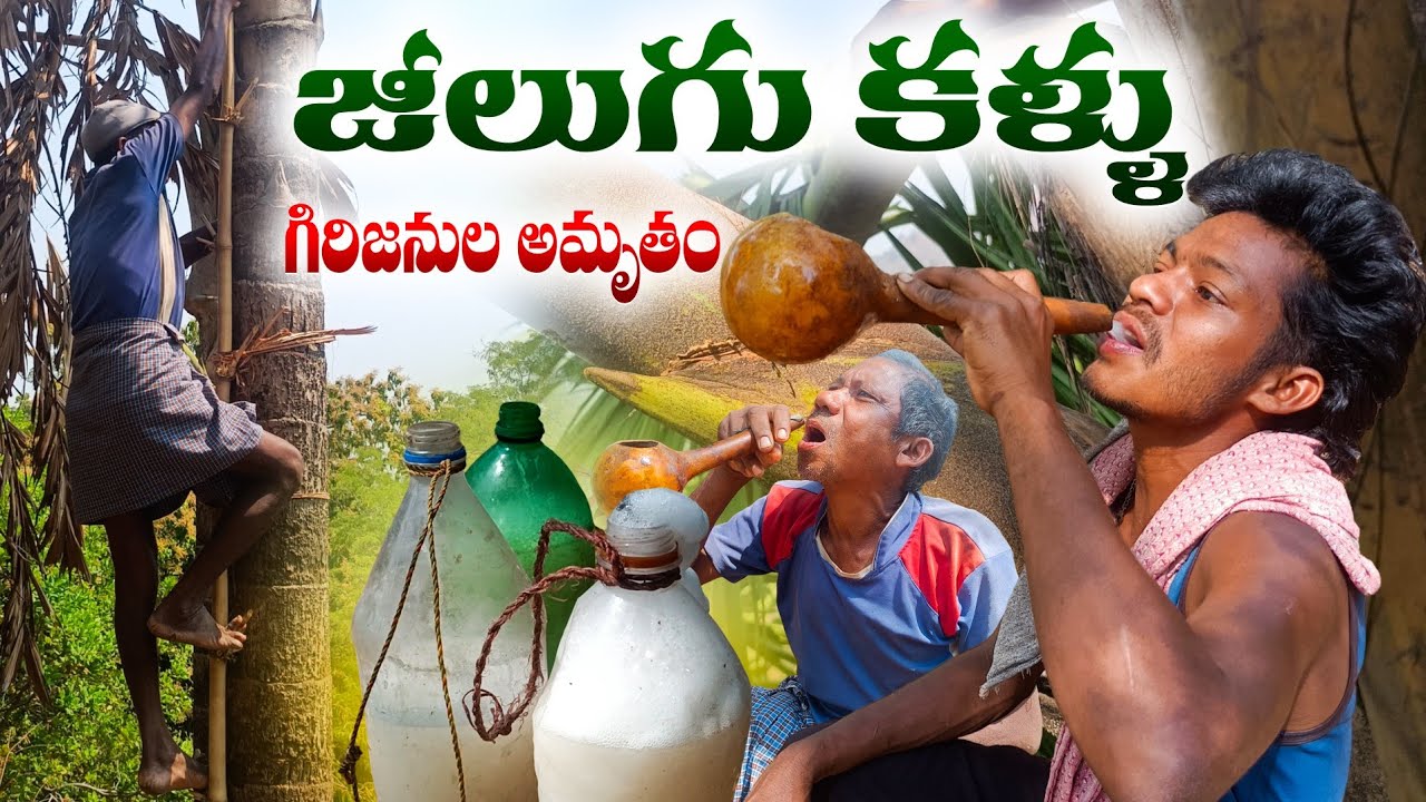అడవిలో జీలుగు కళ్ళు 🌿 | గిరిజనుల అసలు సంప్రదాయం | Tribal Lifestyle India | #tribalculture #ppm 