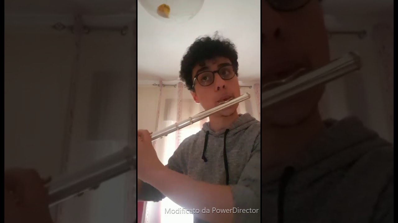 Cover per flauto -Adagio-Lara Fabian