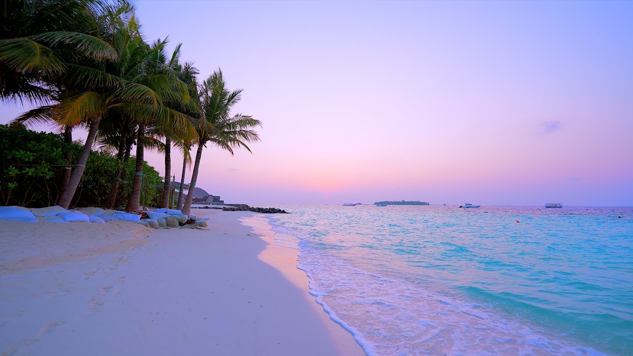Maldives Beach 4K 🏝 Turquoise  Water, White Sand and Ocean Sounds