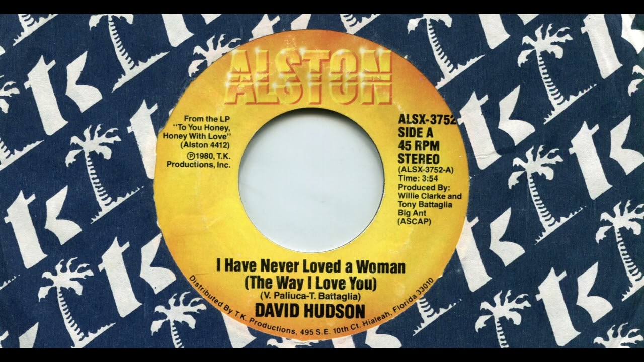DAVID HUDSON / I HAVE NEVER LOVED A WOMAN (THE WAY I LOVE YOU) / 1980 / A-SIDE / 7'' VINYL / 80'S