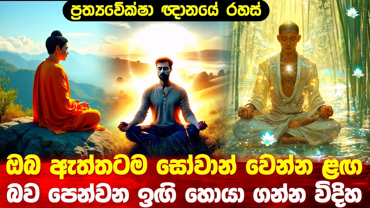සෝවාන් වෙන්න ළග බව පෙන්වන ඉඟි හොයා ගන්න විදිහ #buddha #niwanmaga #bana 
