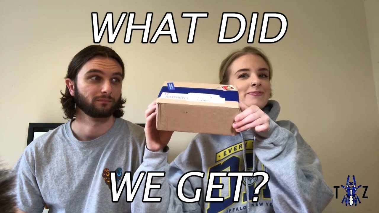 Spidersworld.eu Mystery Box Unboxing Review [Terrestrials Only]