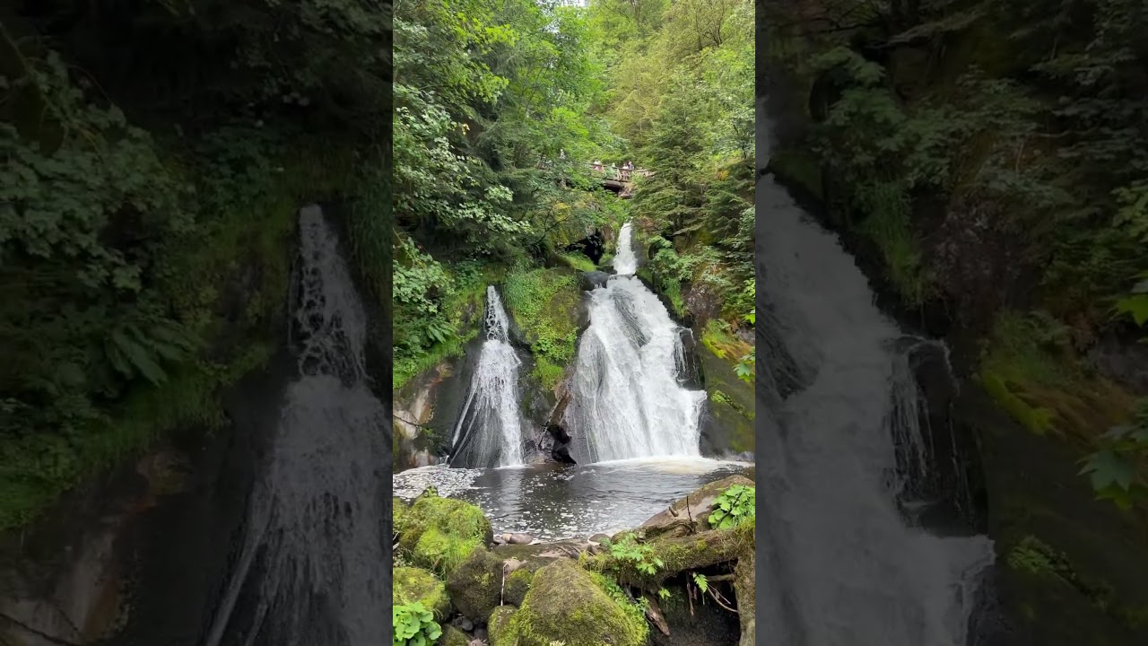 Triberg Waterfalls #triberg #waterfall #tribergwaterfalls #germanytourism #germany #blackforest