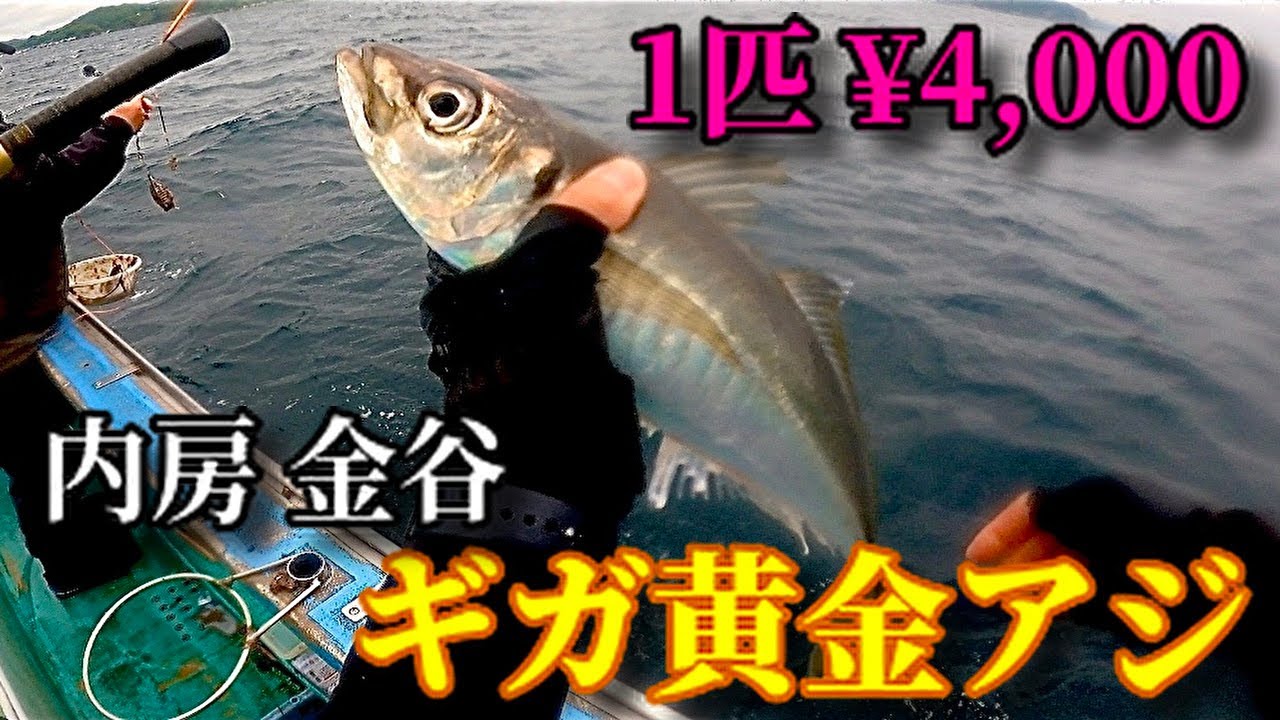 金谷のギガ黄金アジをGETした【2023.5.20】