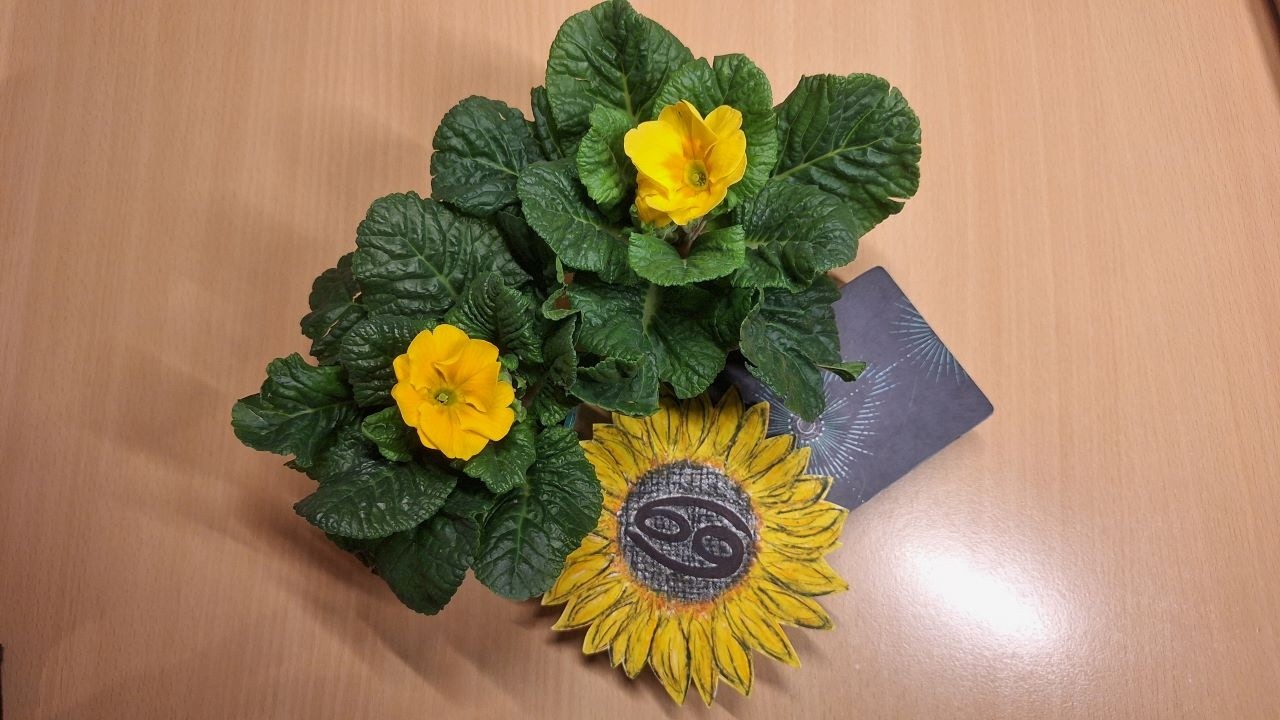 🌻💖Rak ♋ březen 2026-Konec jedné životní kapitoly, vše, co už vám neslouží končí, pozor na strach! 💖🌻
