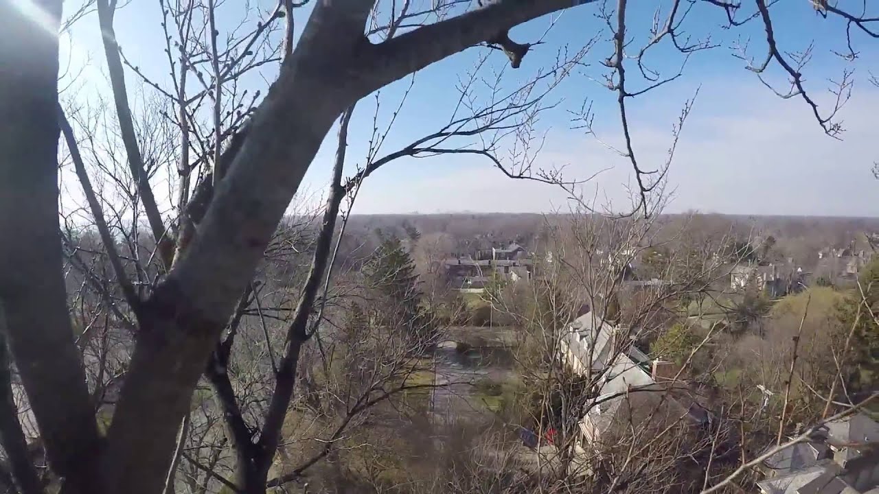 Rope Running an Elm
