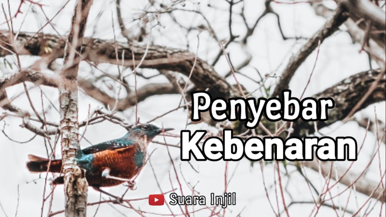Penyebar Kebenaran. Renungan Dan Doa Pagi Suara Injil.