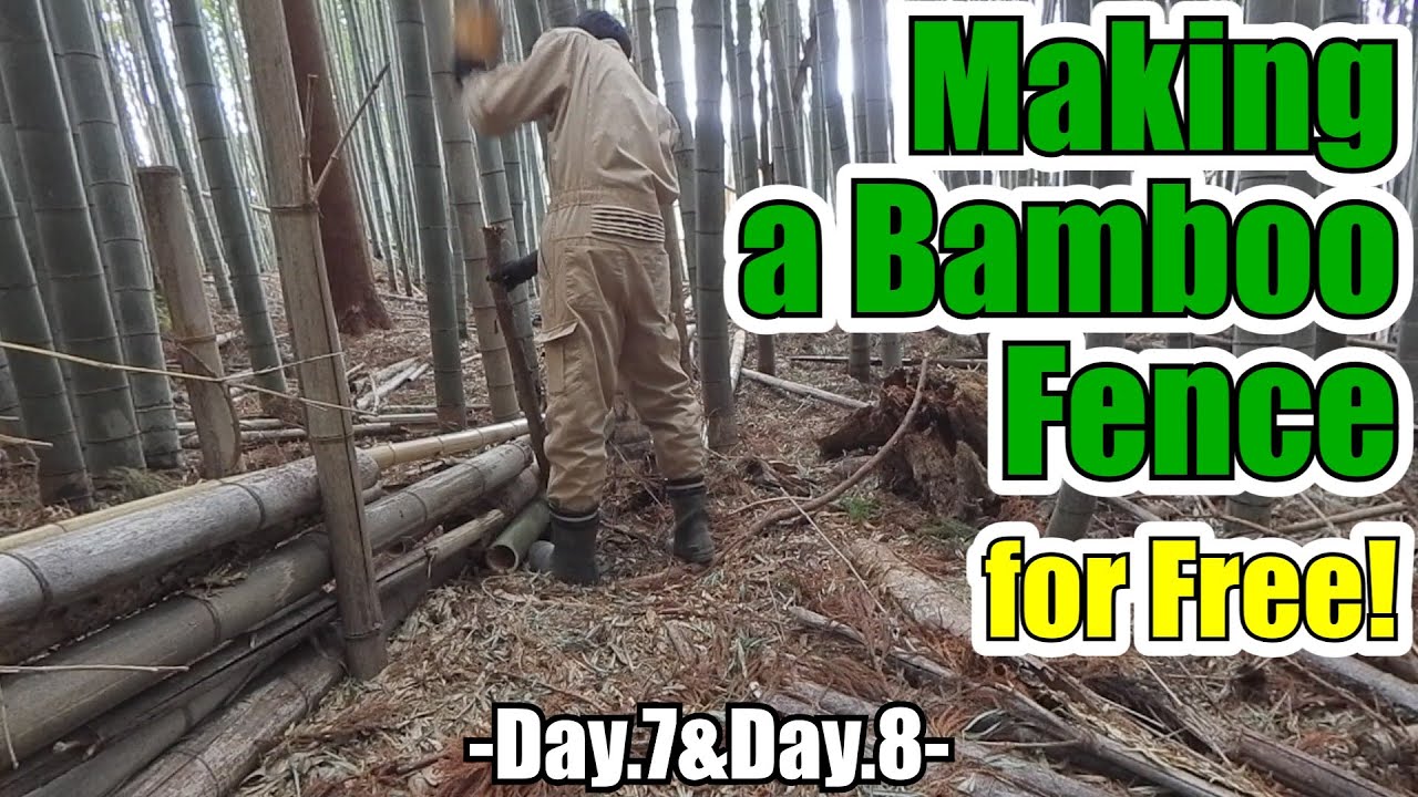 Making a Bamboo Fence for Free -Day.7&Day.8-